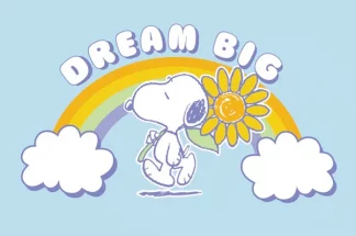 6 Kostbarkeiten in Kokosnuss Schalen