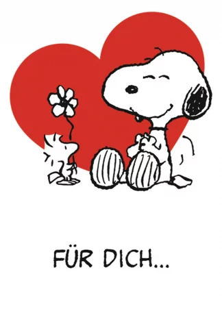 10 Kostbarkeiten Edle Speisepilze & Pilzgerichte Aktionsbox